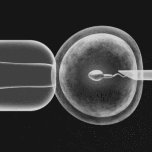 FertilizaçãoInVitroFIVICSI